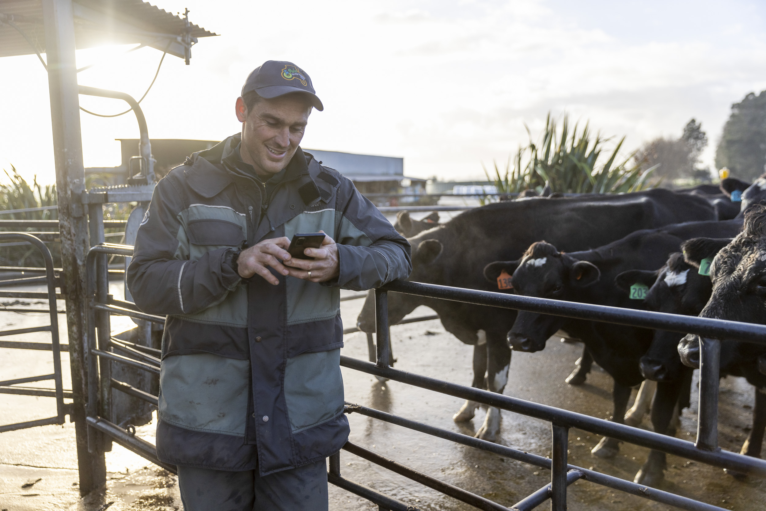 Kaituna Pastures case study
